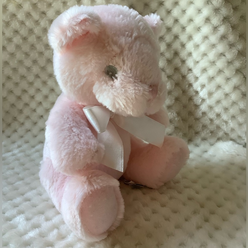 FIRST & MAIN Pink Pastel Pal Plush Bear Rattle Stuffed Animal Embroidered Eyes